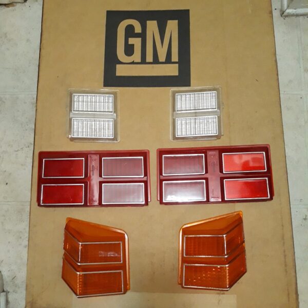 1979-1980 Monte Carlo European Style tail light lens set