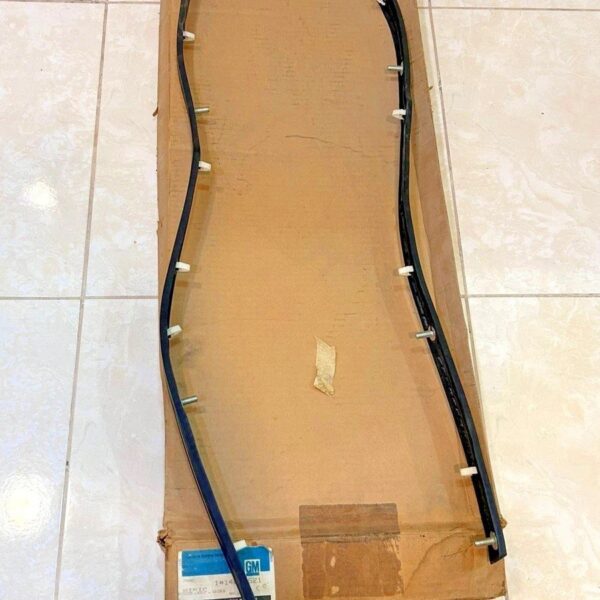 NOS GM 1980-1985 Caprice front bumper impact strip